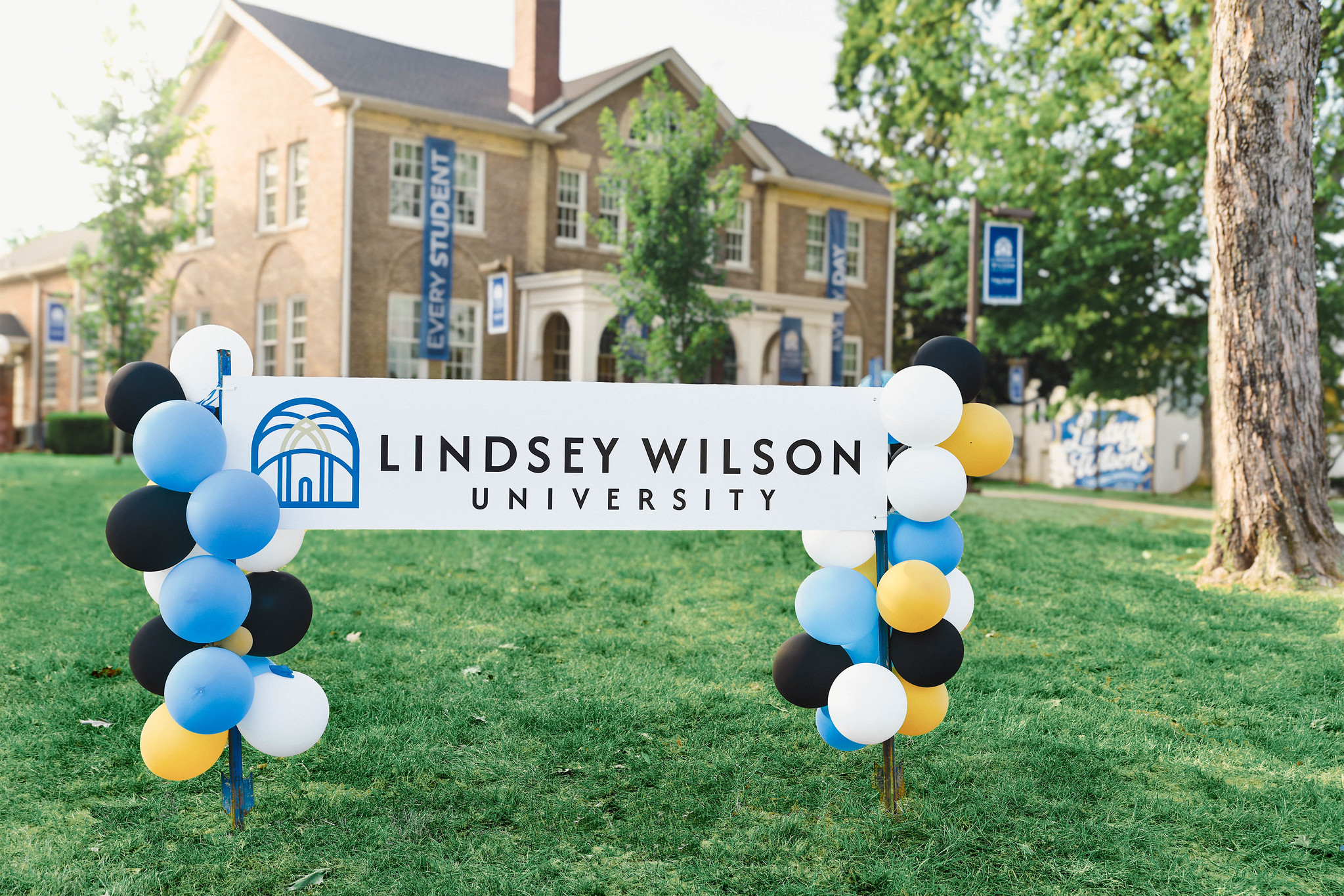 55091154657_b56eeff1d2_k